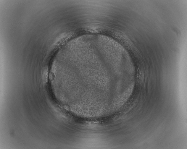 X0000114490694200911091049