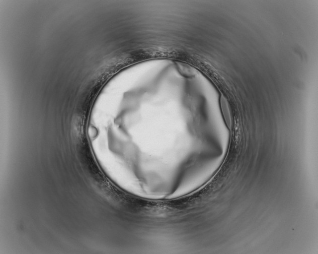 X0000114490695200911091049