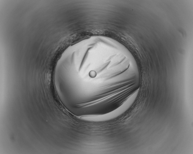 X0000114490697200911091049