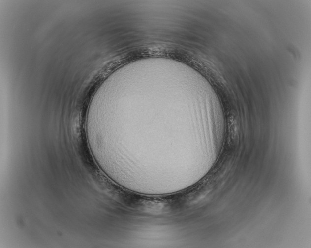 X0000114490698200911091049