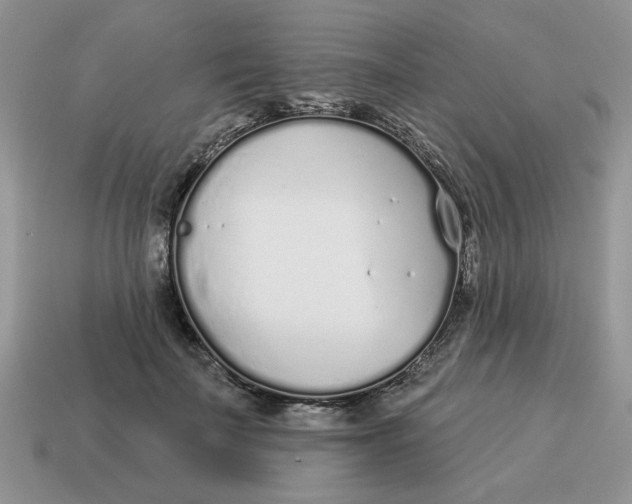 X0000114490699200911091049
