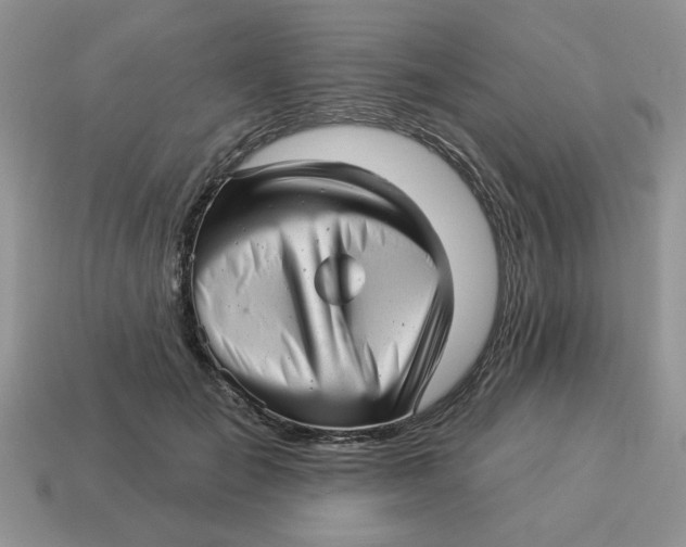 X0000114490701200911091049
