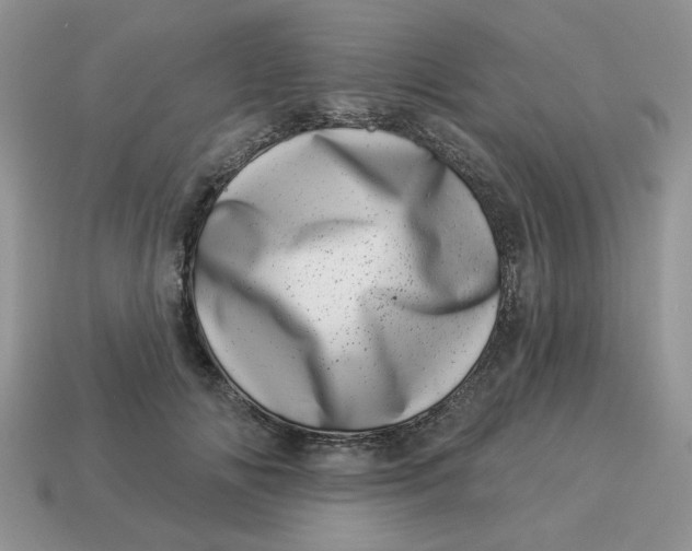 X0000114490702200911091049
