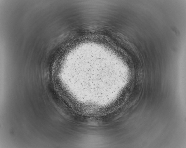 X0000114490703200911091049