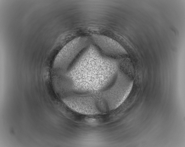 X0000114490706200911091049
