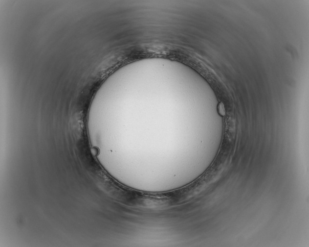 X0000114490707200911091049