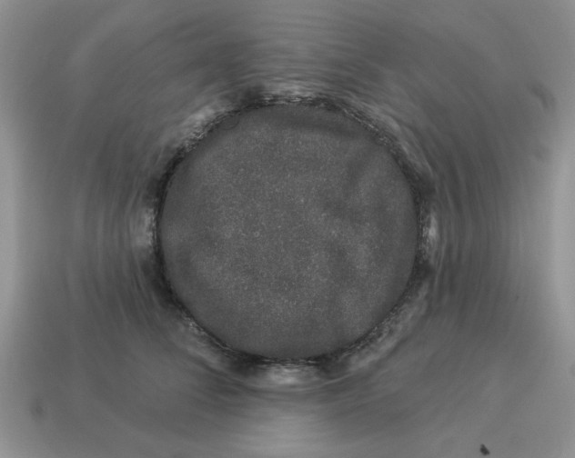 X0000114490708200911091049