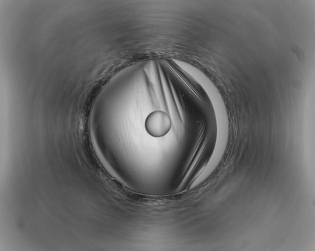 X0000114490709200911091049