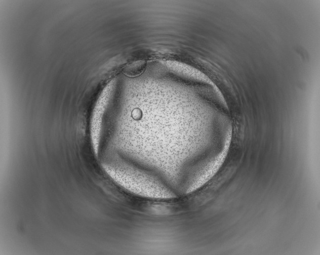 X0000114490710200911091049