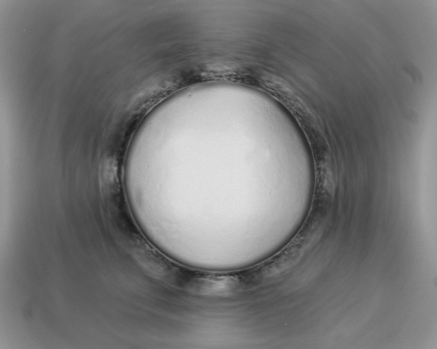 X0000114490711200911091049