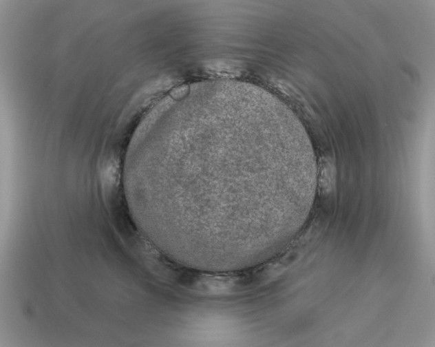 X0000114490713200911091049