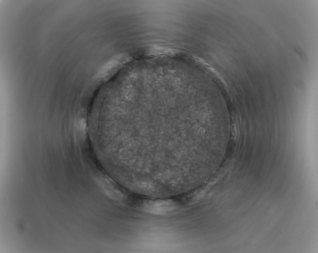 X0000114490716200911091048