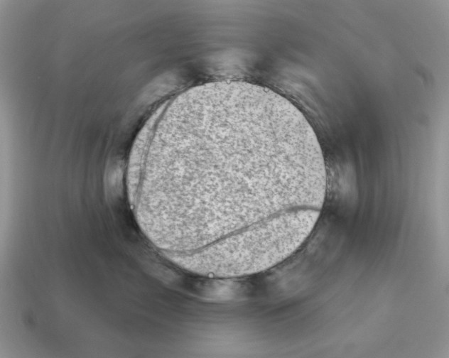 X0000114490717200911091048