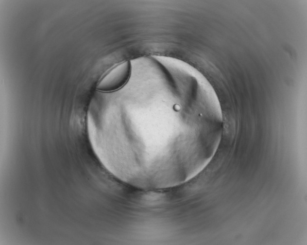 X0000114490718200911091048