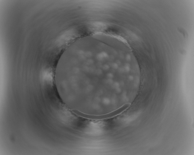 X0000114490720200911091048