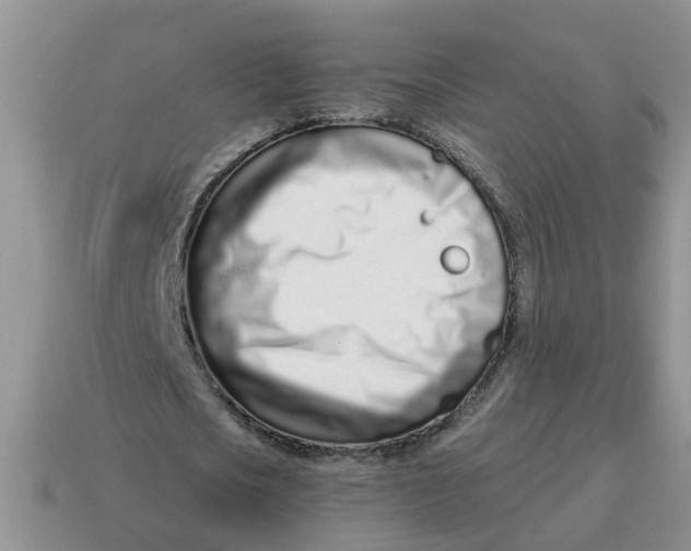 X0000114490721200911091048