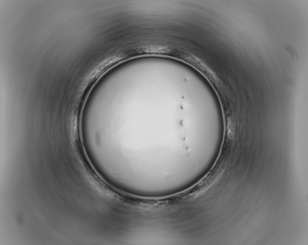 X0000114490725200911091048