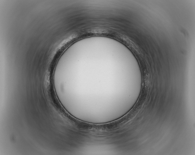 X0000114490727200911091048