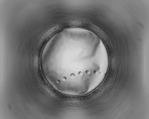 X0000114490729200911091048