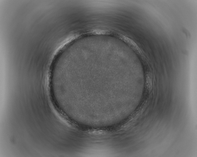 X0000114490730200911091048