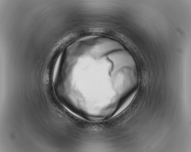 X0000114490731200911091048