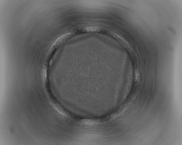 X0000114490733200911091048
