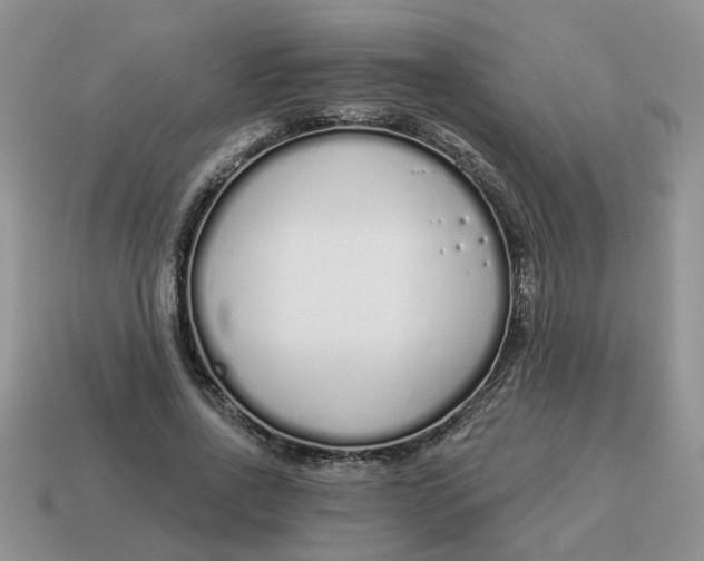 X0000114490734200911091048
