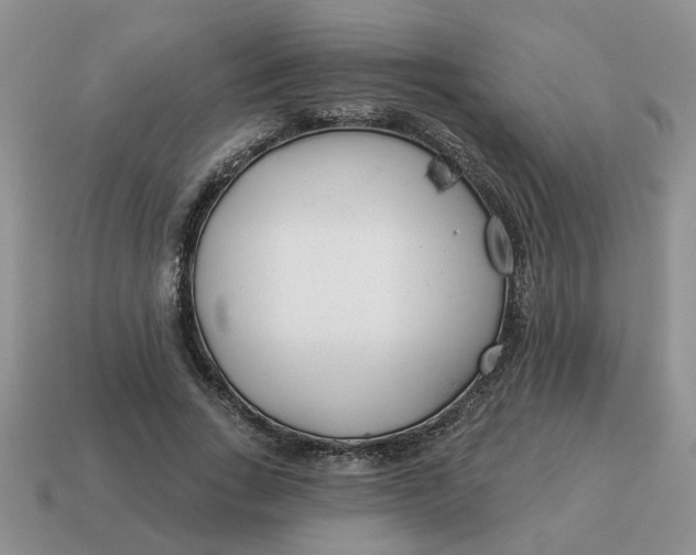 X0000114490735200911091048