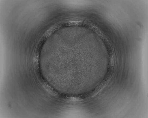 X0000114490737200911091048