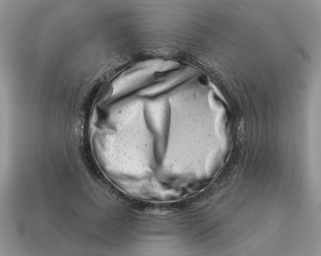 X0000114490739200911091048