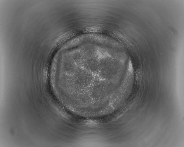 X0000114490741200911091048
