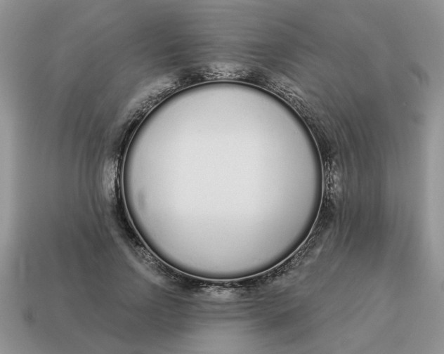 X0000114490742200911091048
