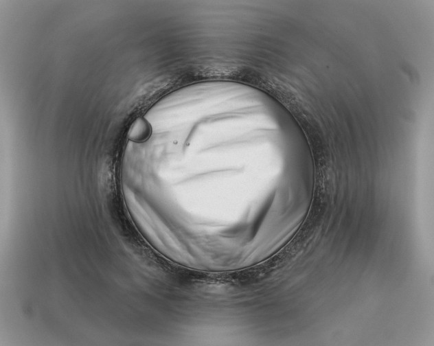 X0000114490743200911091048