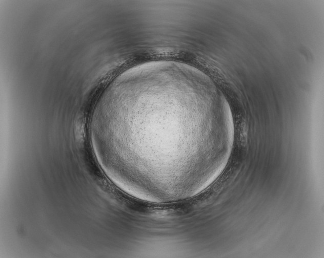 X0000114490746200911091048