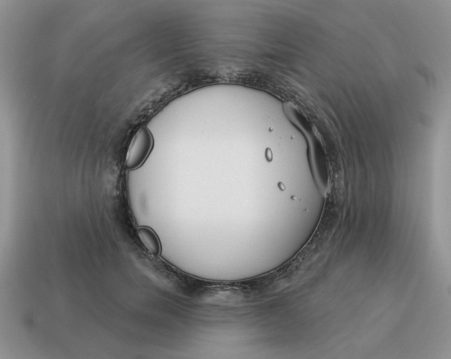 X0000114490750200911091048