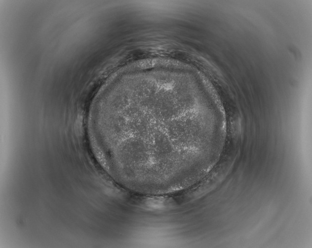 X0000114490757200911091048