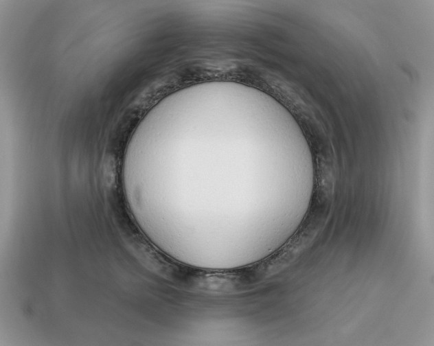 X0000114490758200911091048