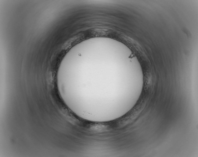 X0000114490759200911091048