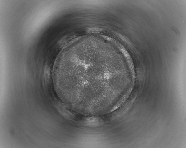 X0000114490761200911091048