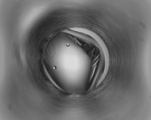 X0000114490762200911091048