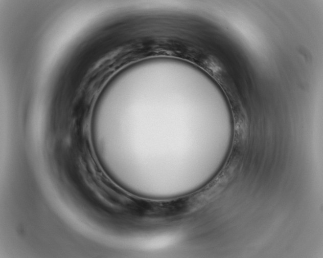 X0000114490765200911091048