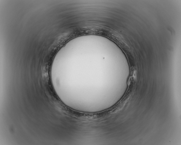 X0000114490771200911091048
