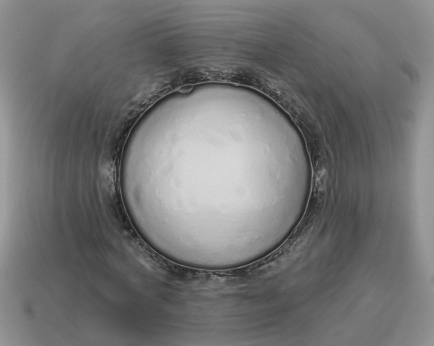 X0000114490772200911091048