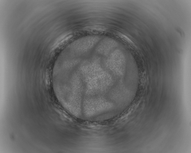 X0000114490774200911091048