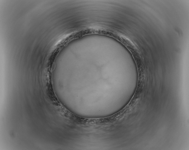 X0000114490776200911091048