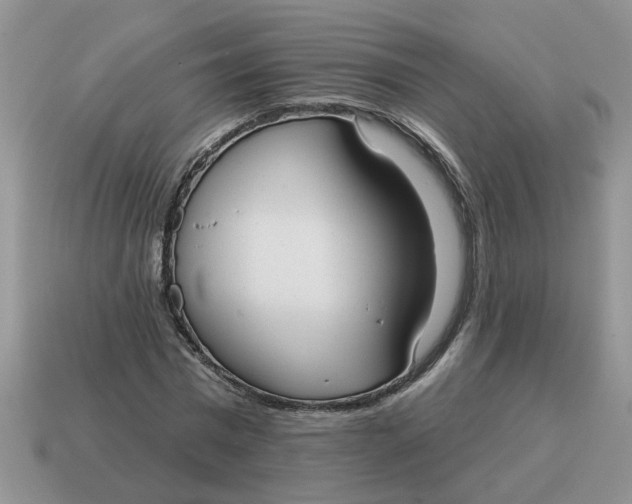 X0000114490777200911091048