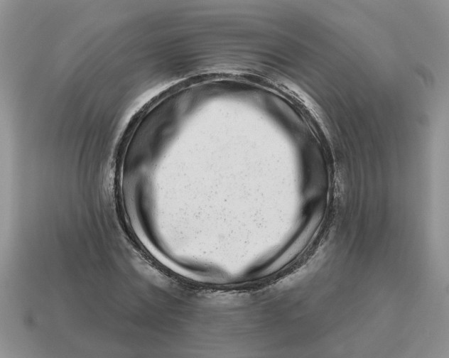 X0000114490779200911091048