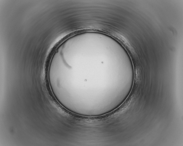 X0000114490780200911091047