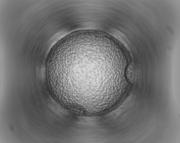 X0000114490781200911091047