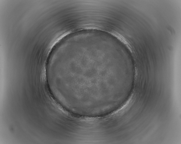 X0000114490782200911091047